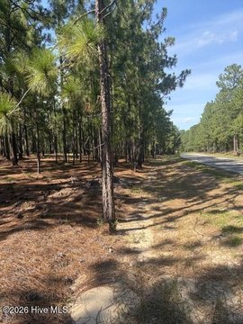 Agricultural Land with Longleaf Pine