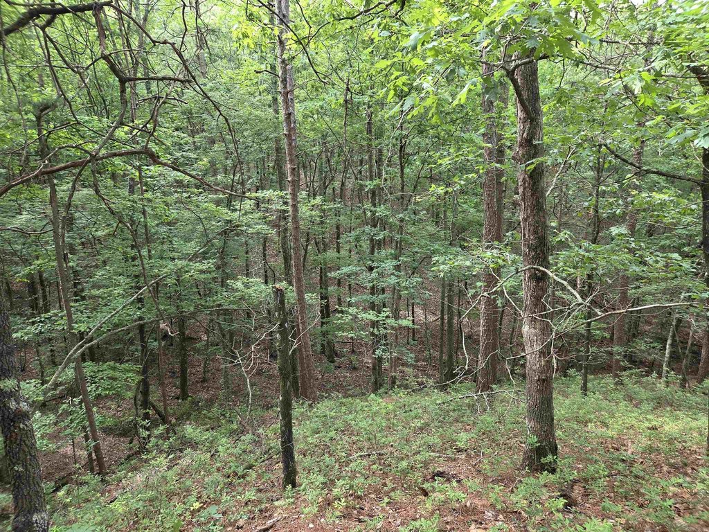Picture 20