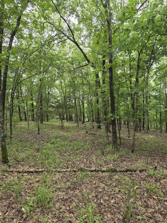 Picture 16