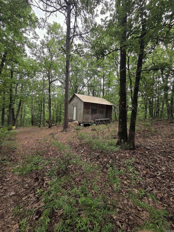 Picture 5