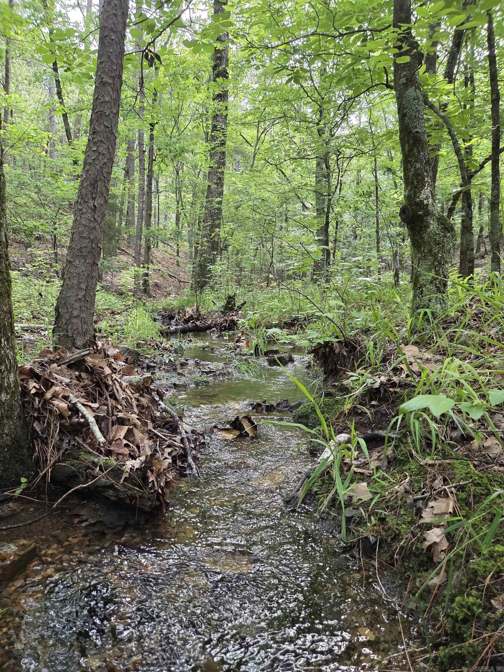 Mena, AR Wooded Acreage