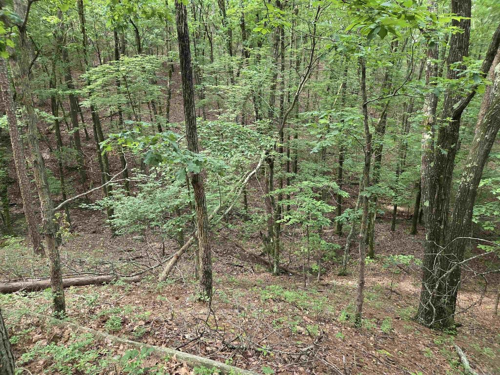 Picture 18