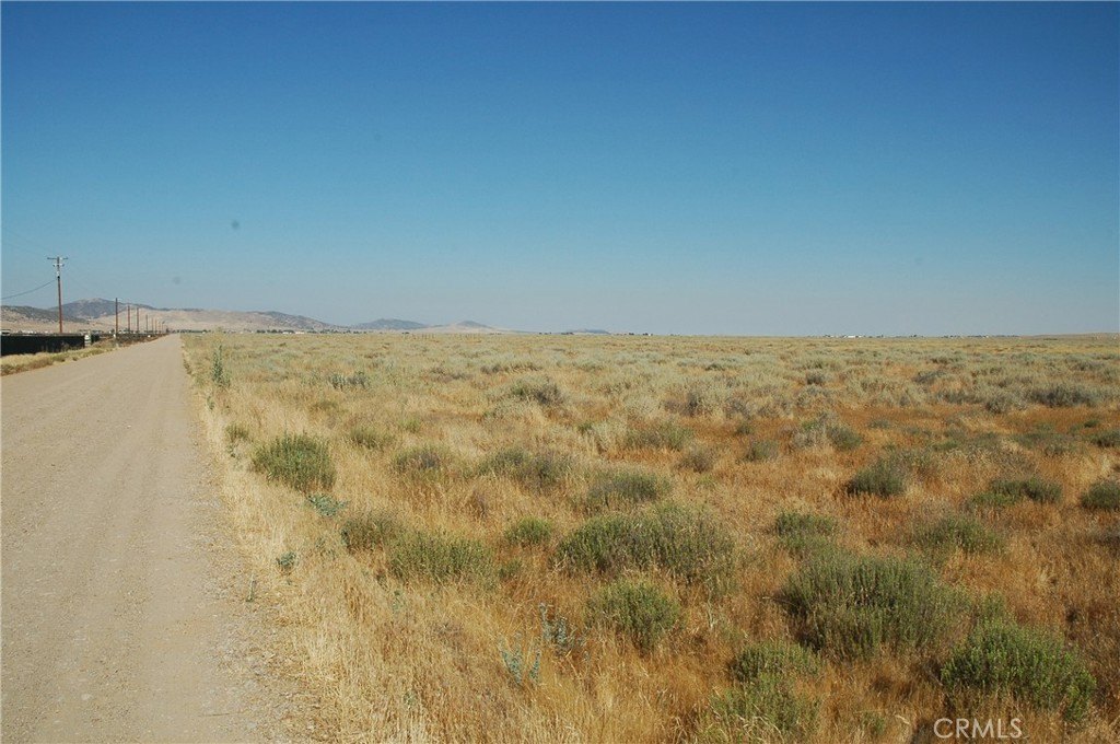 Picture 4