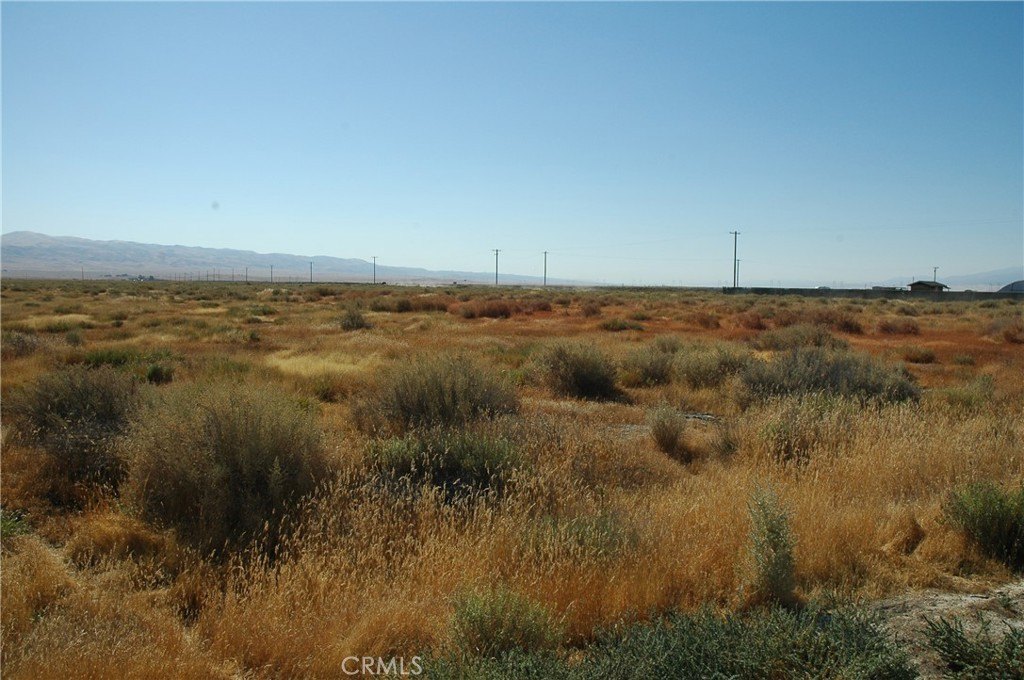 Picture 13
