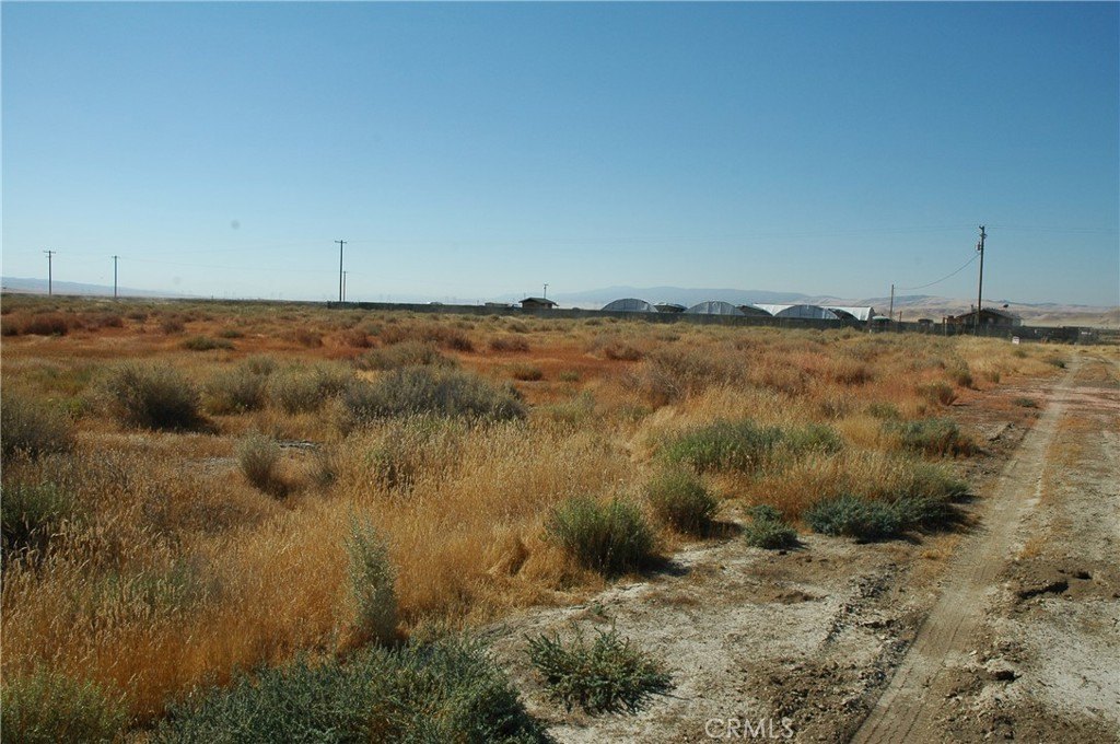 Picture 14