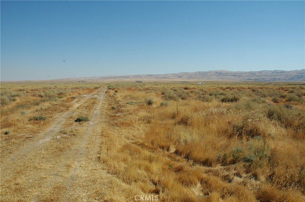 Picture 5