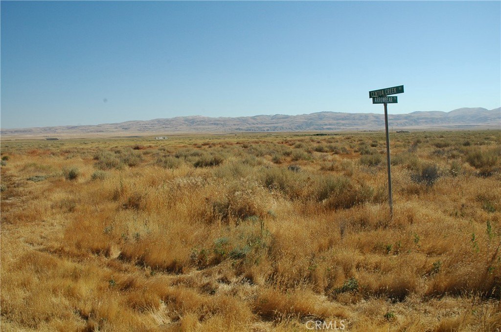 Picture 10