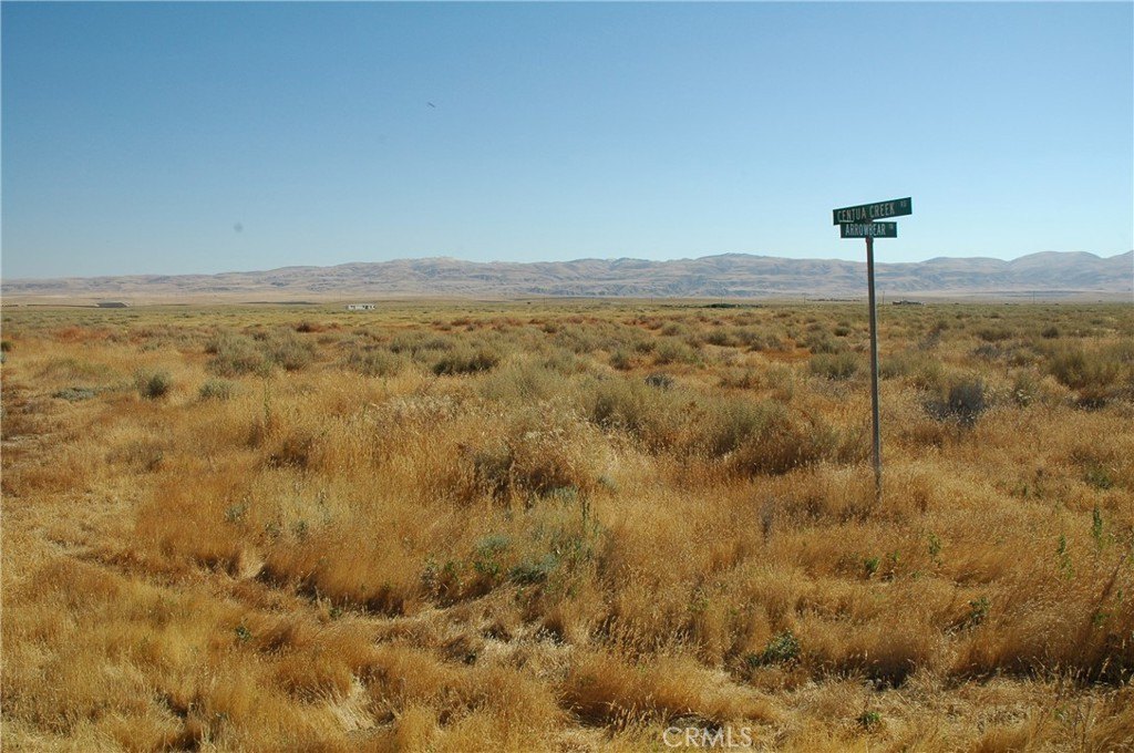Picture 6