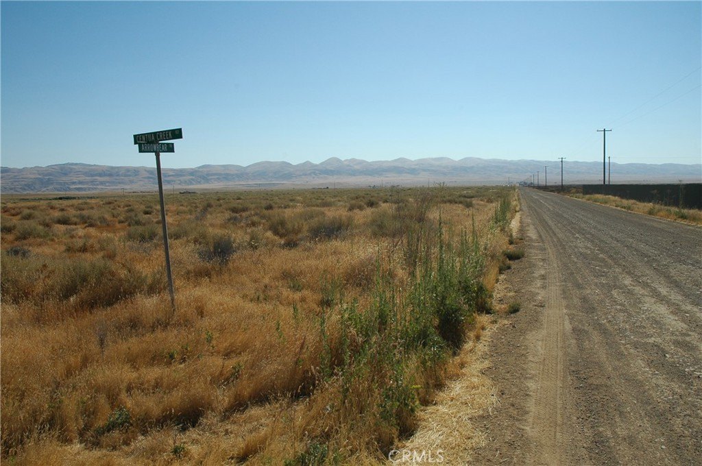Picture 8