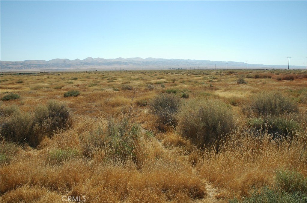 Picture 12