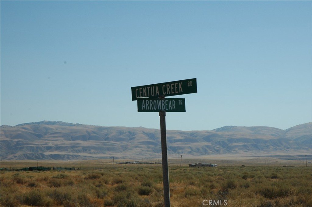 Picture 7