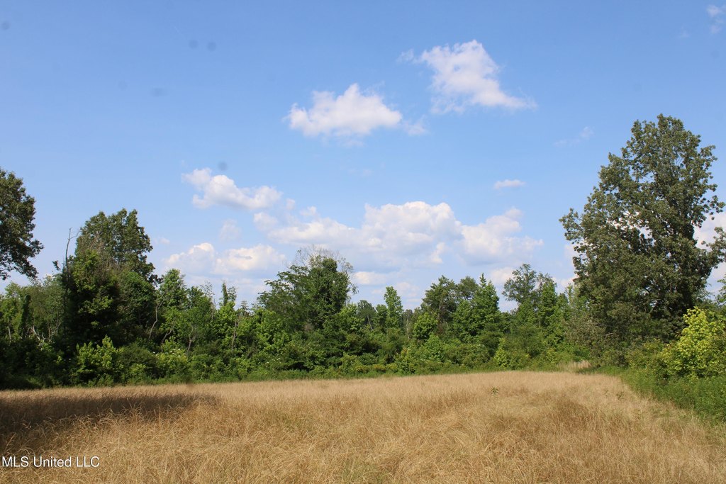 Picture 30