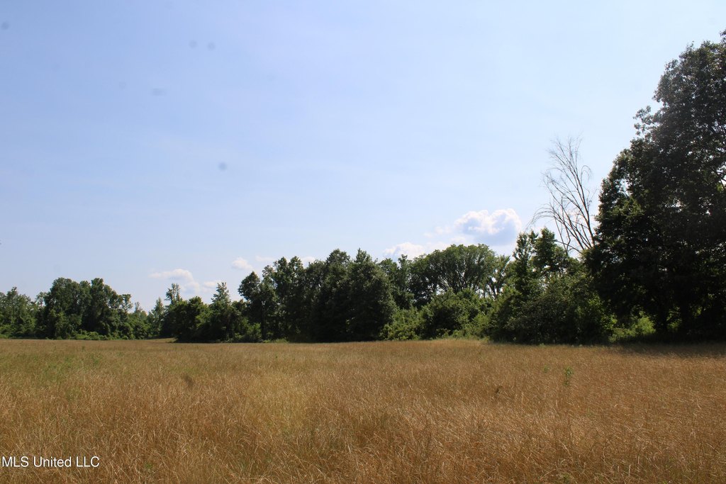 Picture 22