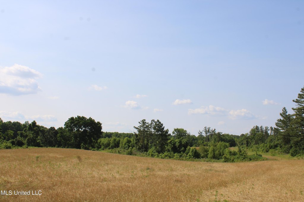 Picture 39