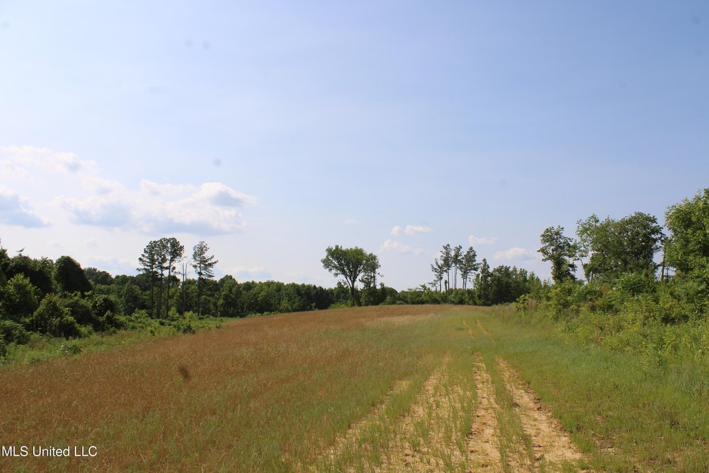 Picture 42