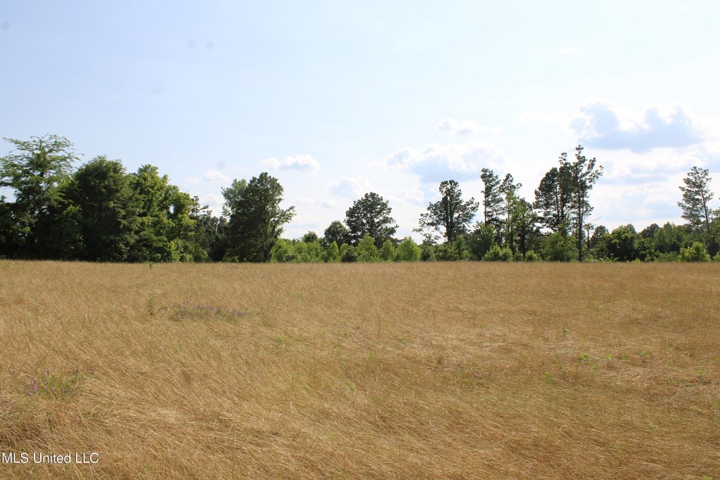 Picture 41