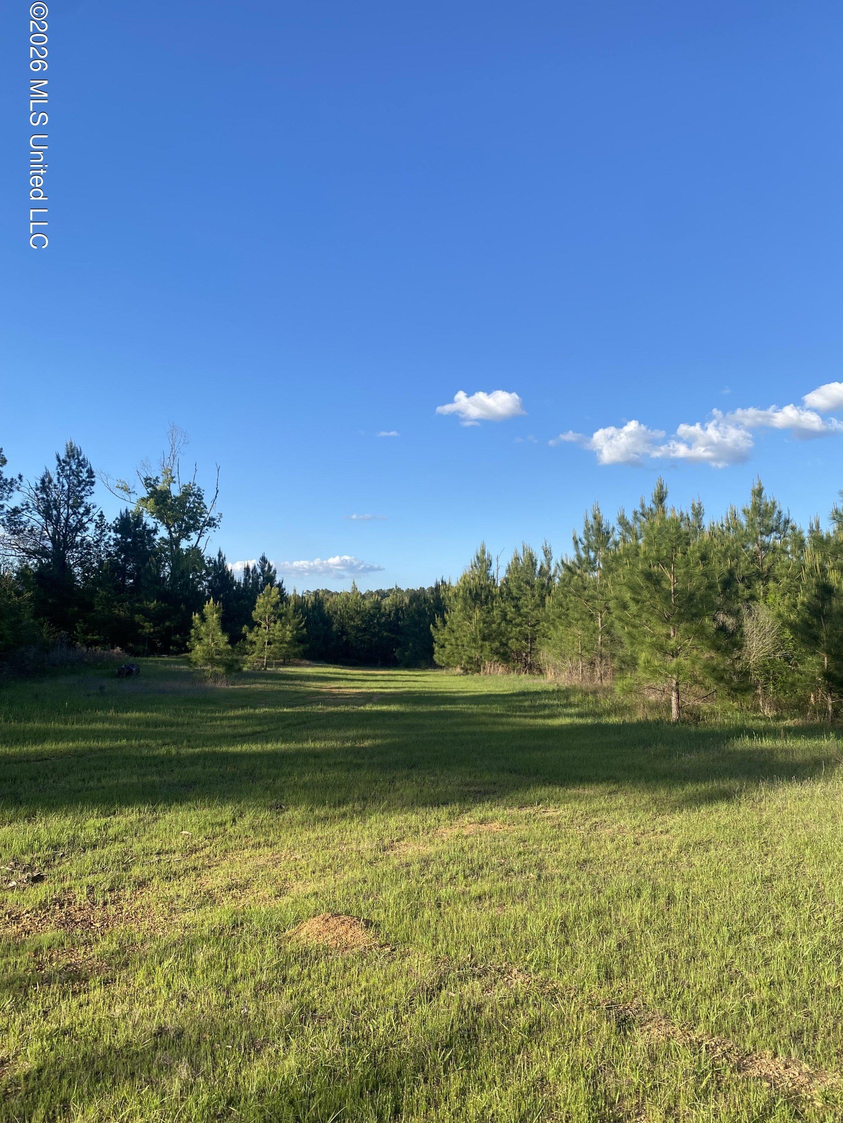 Amite County Hunting, Recreational Land