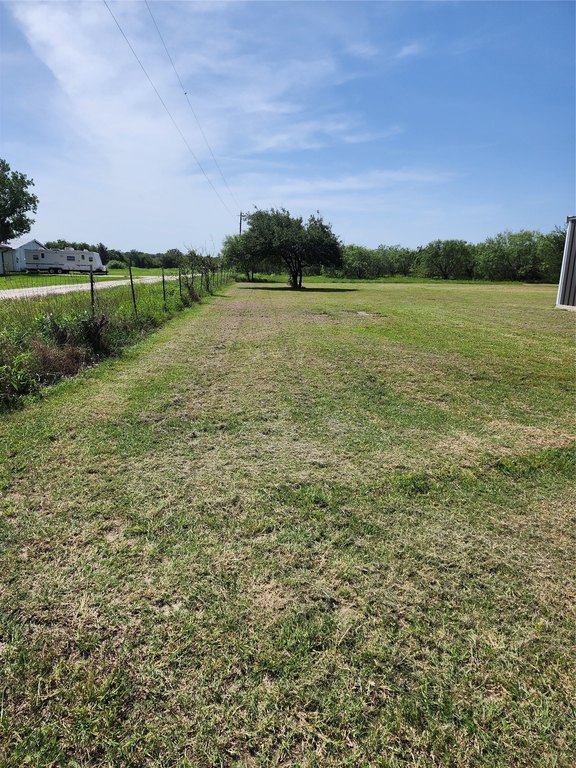 Picture 11