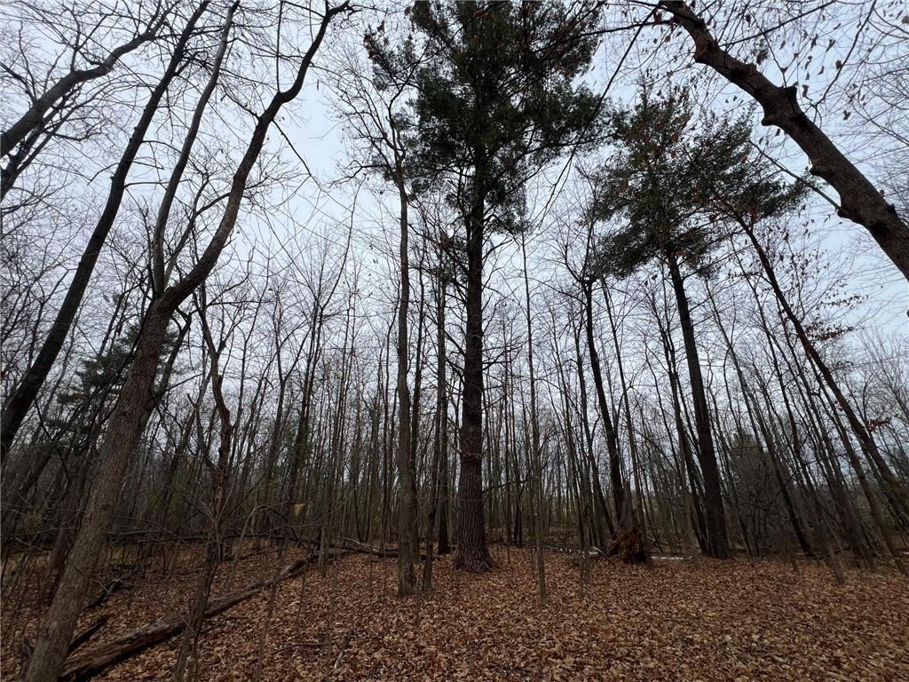 Picture 8