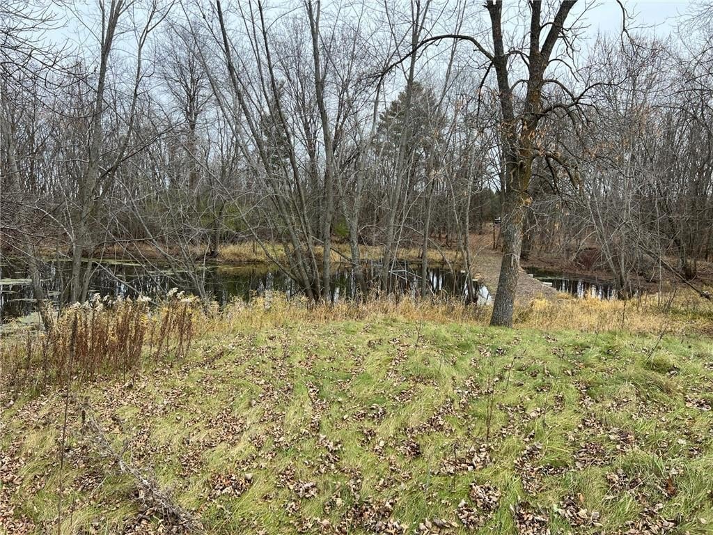 Picture 16