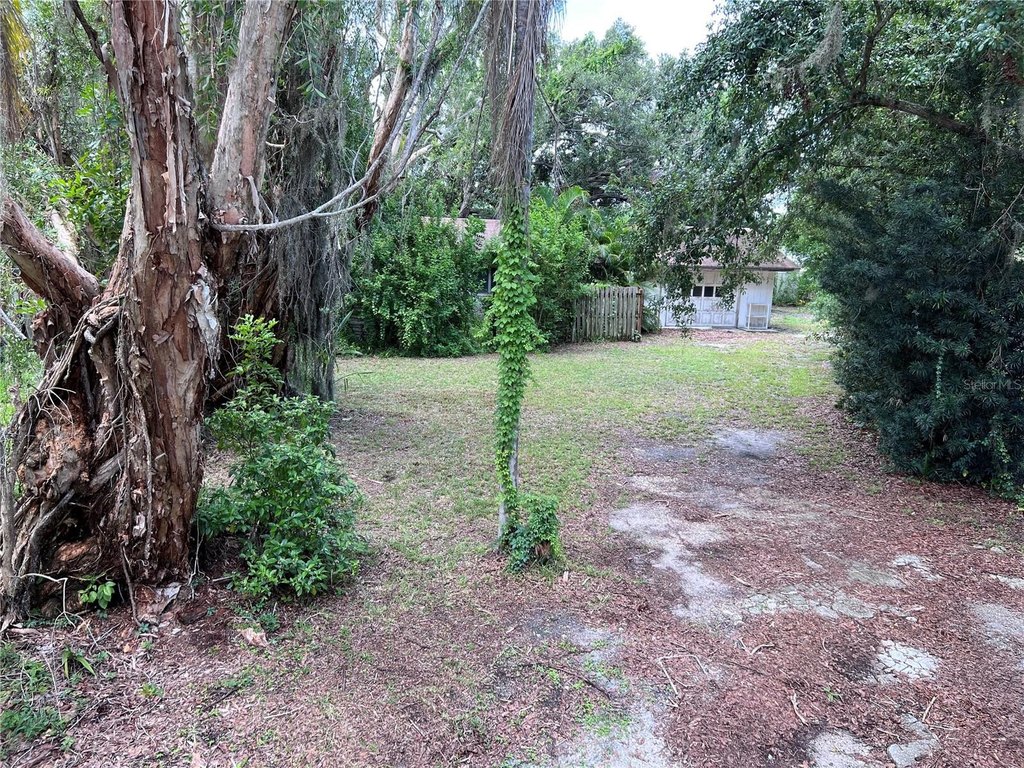 Picture 5