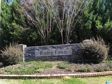 54 Acres Land in Warrior