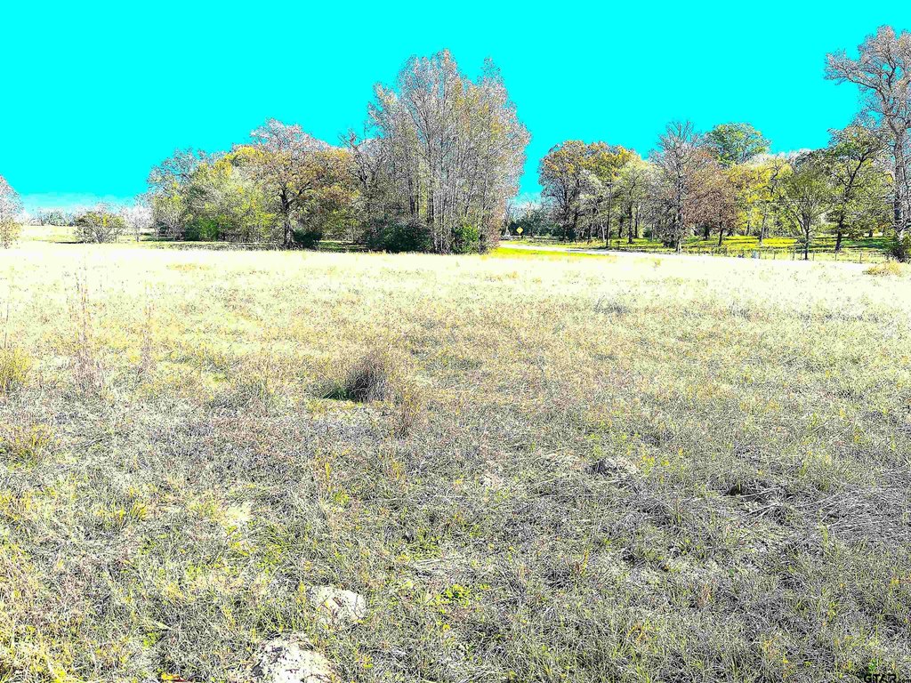Picture 5
