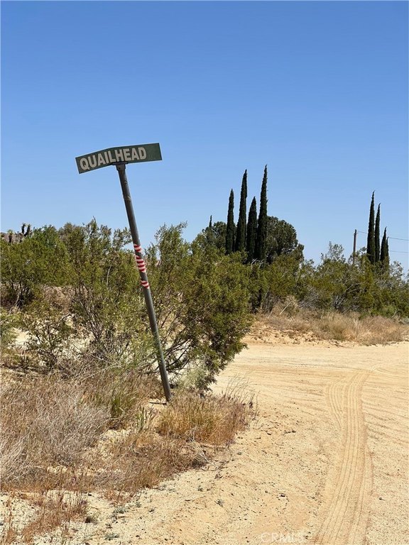 Picture 2