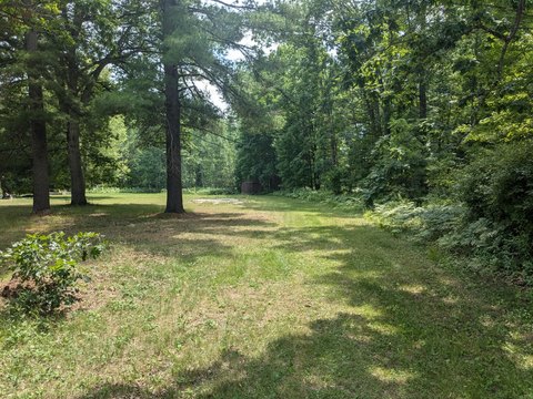 Wooded Lots in Manistee, MI