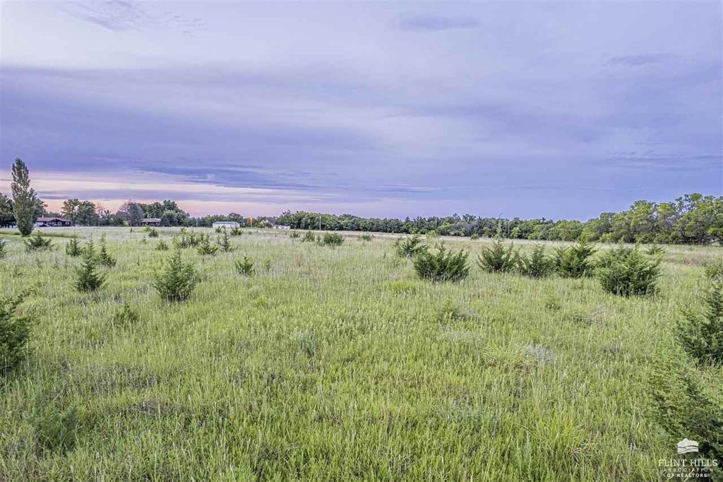 Picture 9