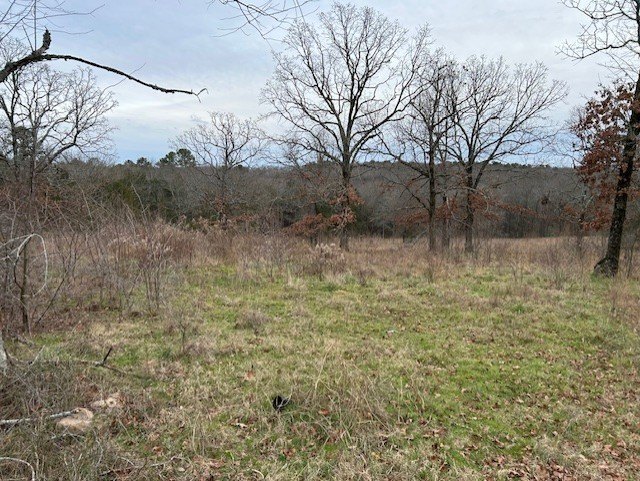 Picture 3