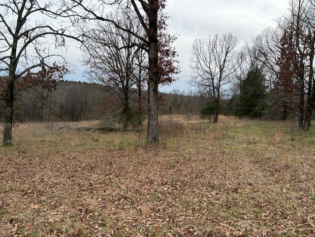 Picture 7
