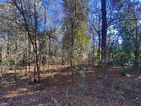 Residential Lot in Crawfordville, FL