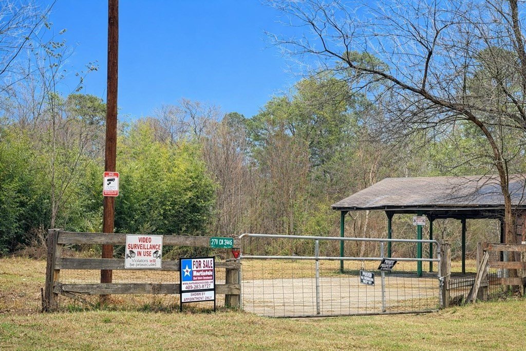 Picture 13