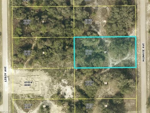 Residential Land in Lehigh Acres