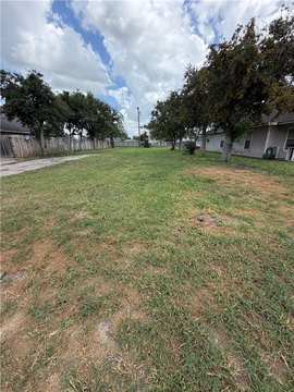 LAND - Kingsville, TX
