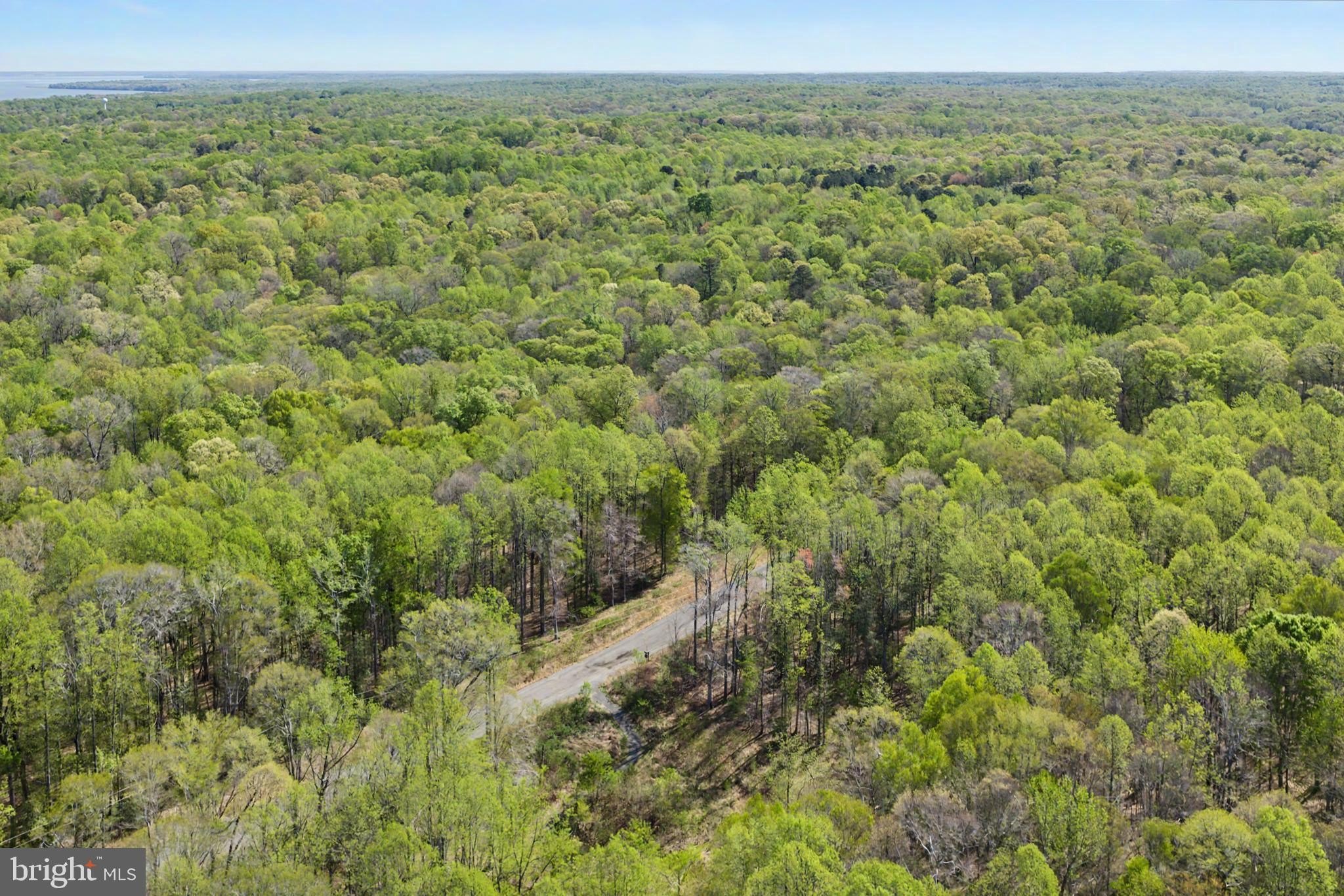 Potomac River 10+ Acre Lot