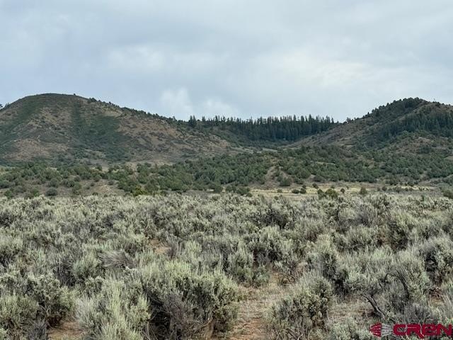 Picture 18