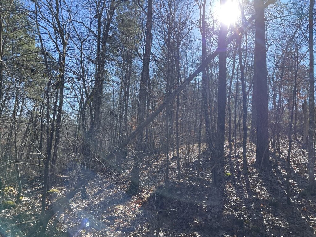 Picture 4