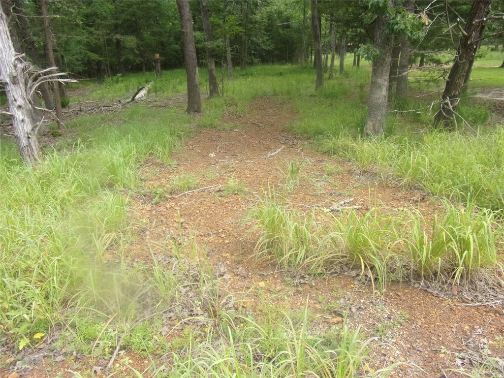 Picture 3