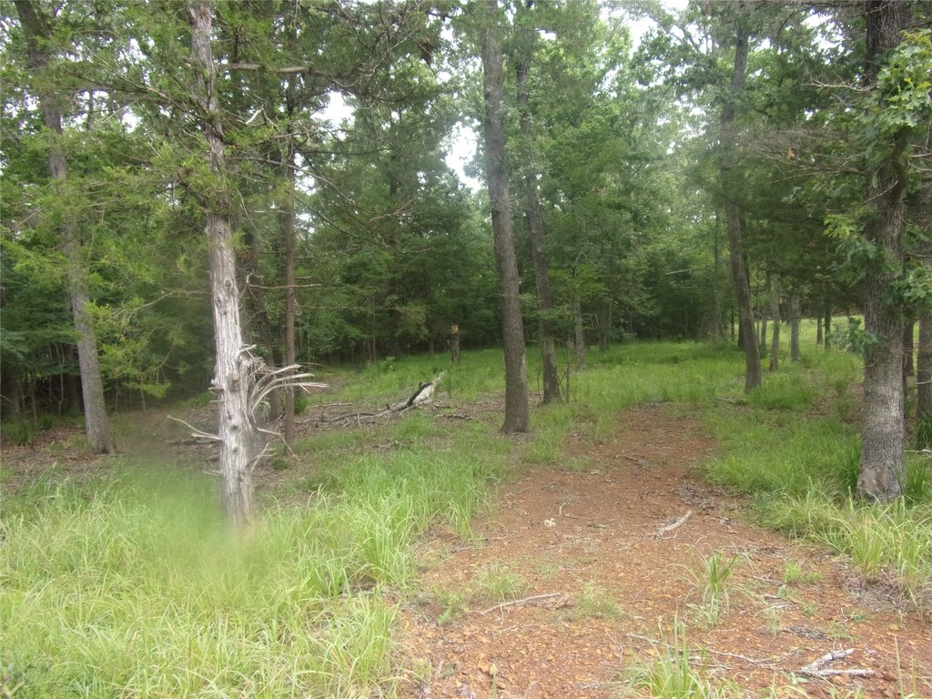 Picture 4