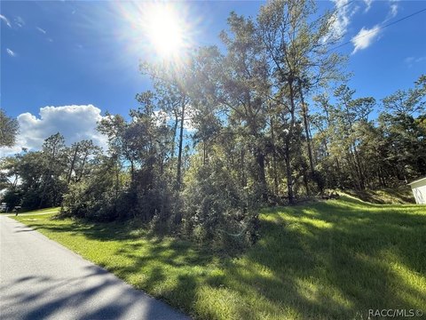 Land, Citrus Springs, FL