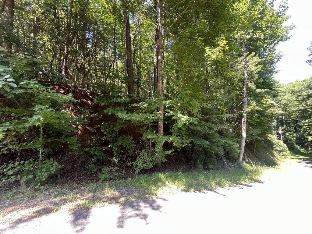 Picture 18