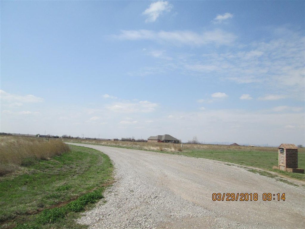 Picture 8