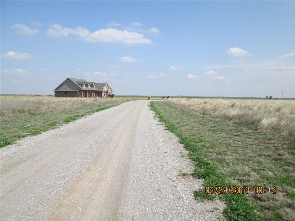Picture 6