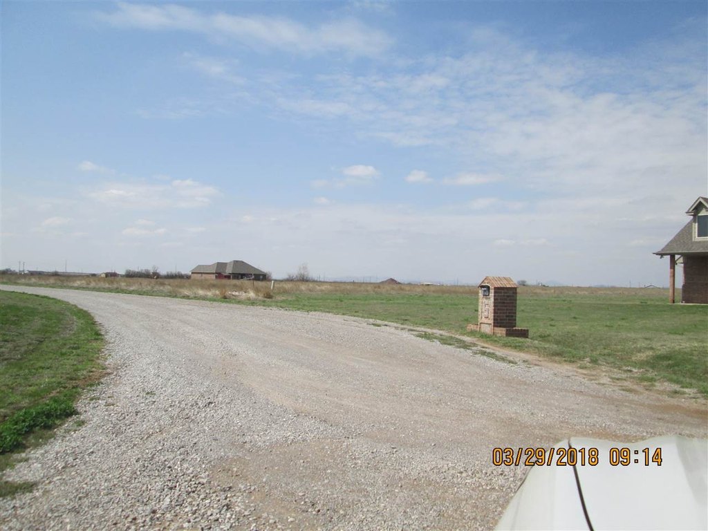 Picture 7