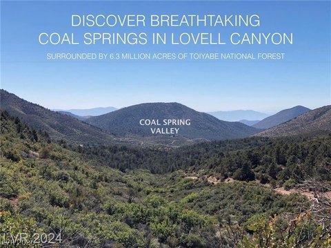 Land in Toiyabe National Forest