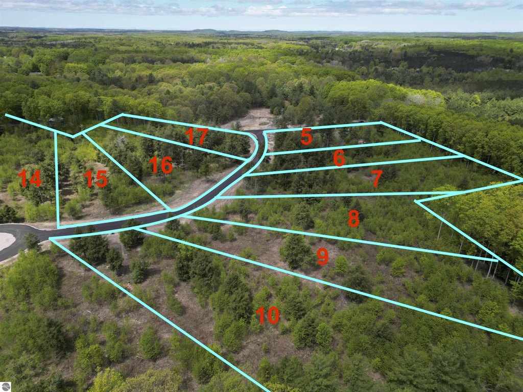 Picture 12