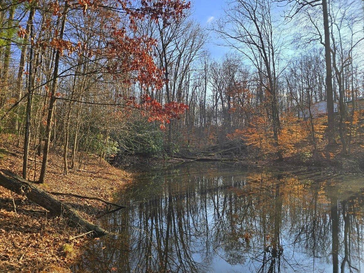 14 Acres Forest Tract in Oak Hill