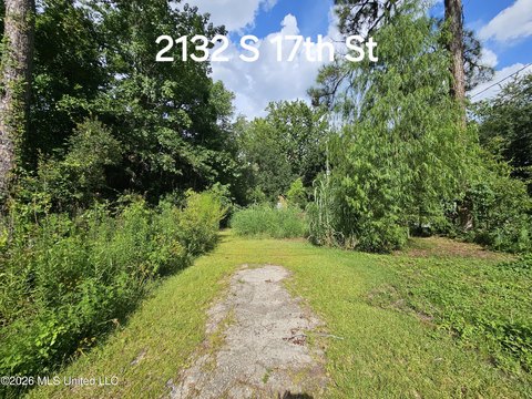 Ocean Springs Land Parcel